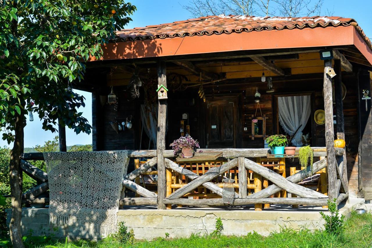 Agro Guesthouse Korena Кутаиси Екстериор снимка