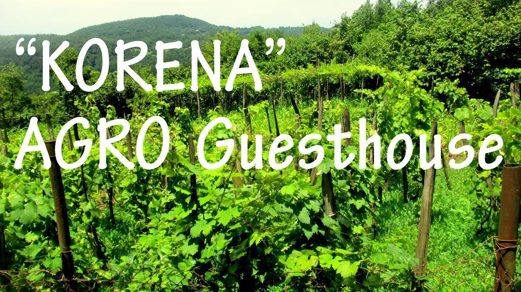 Agro Guesthouse Korena Кутаиси Екстериор снимка