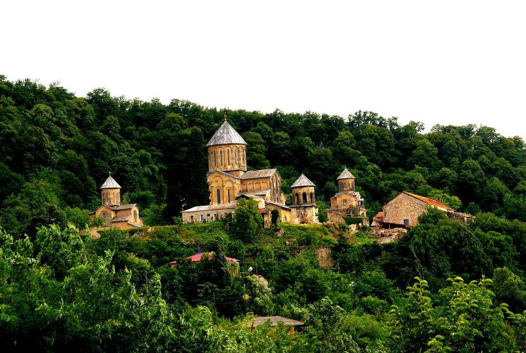 Agro Guesthouse Korena Кутаиси Екстериор снимка