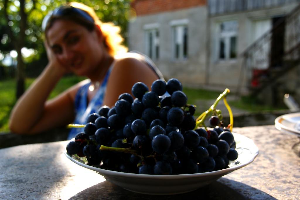 Agro Guesthouse Korena Кутаиси Екстериор снимка