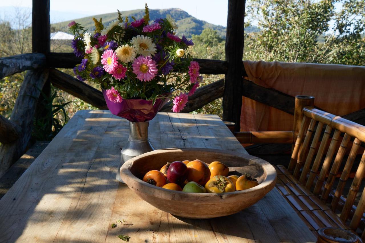 Agro Guesthouse Korena Кутаиси Екстериор снимка